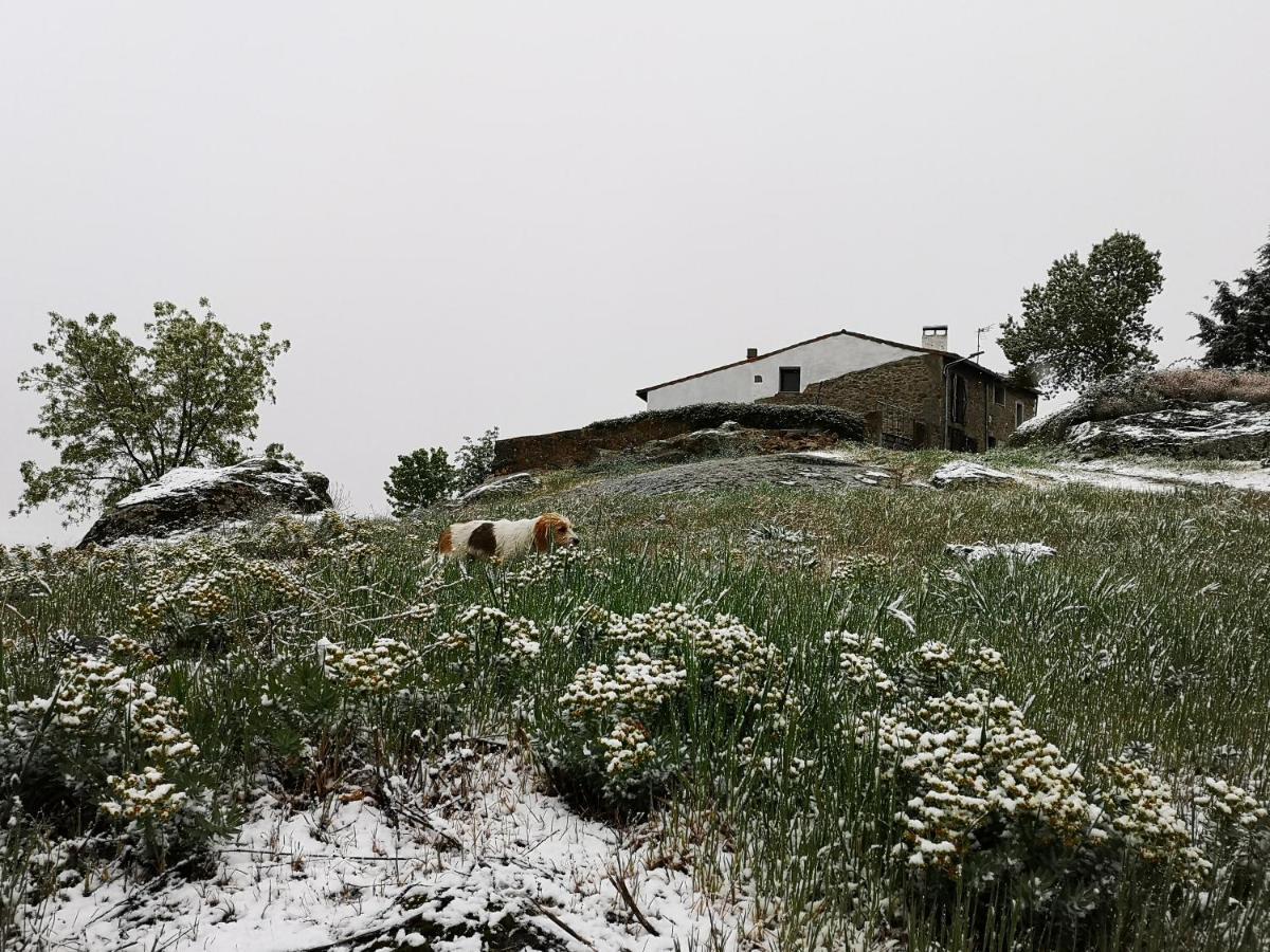 El Triskel De Chumbea, Alojamiento Excepcional Con Maravillosas Vistas A 5Km De Bejar Navalmoral de Bejar Esterno foto
