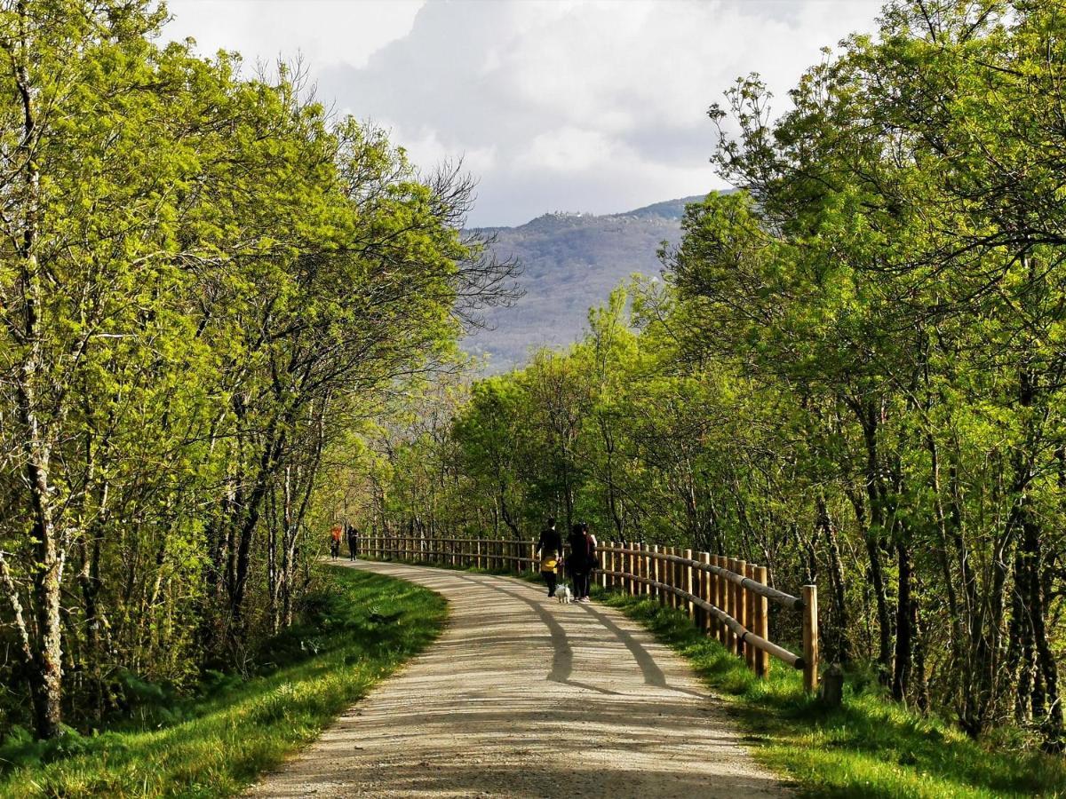 El Triskel De Chumbea, Alojamiento Excepcional Con Maravillosas Vistas A 5Km De Bejar Navalmoral de Bejar Esterno foto